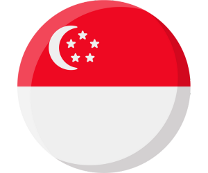 Singapore flag